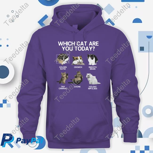 Weirdlilguys Merch Which Cat Are You Today Golden Cromch Smooth Brain Tiny Criminal Chonk Violent Impulses Hooded Sweatshirt Weirdlilguys Merch Which Cat Are You Today Golden Cromch Smooth Brain Tiny Criminal Chonk Violent Impulses Hooded Sweatshirt