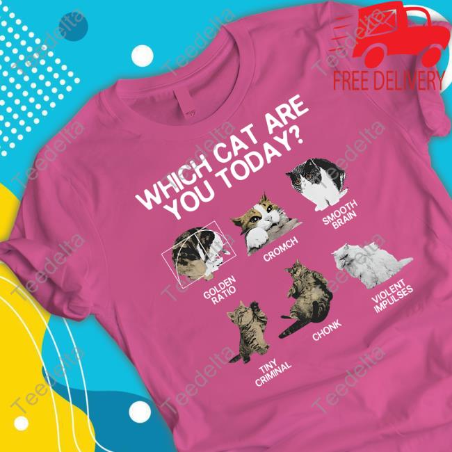 Weirdlilguys Merch Which Cat Are You Today Golden Cromch Smooth Brain Tiny Criminal Chonk Violent Impulses Hooded Sweatshirt Weirdlilguys Merch Which Cat Are You Today Golden Cromch Smooth Brain Tiny Criminal Chonk Violent Impulses Hooded Sweatshirt