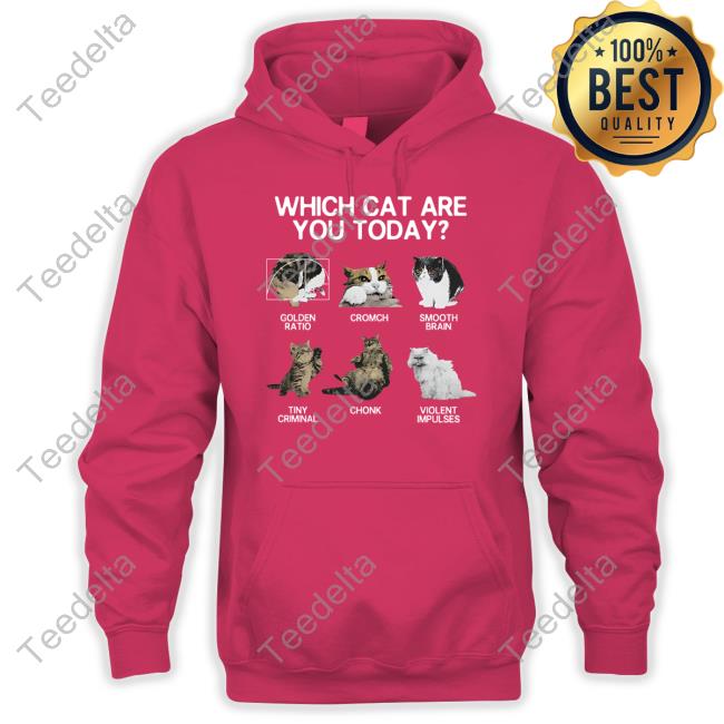 Weirdlilguys Merch Which Cat Are You Today Golden Cromch Smooth Brain Tiny Criminal Chonk Violent Impulses Hooded Sweatshirt Weirdlilguys Merch Which Cat Are You Today Golden Cromch Smooth Brain Tiny Criminal Chonk Violent Impulses Hooded Sweatshirt