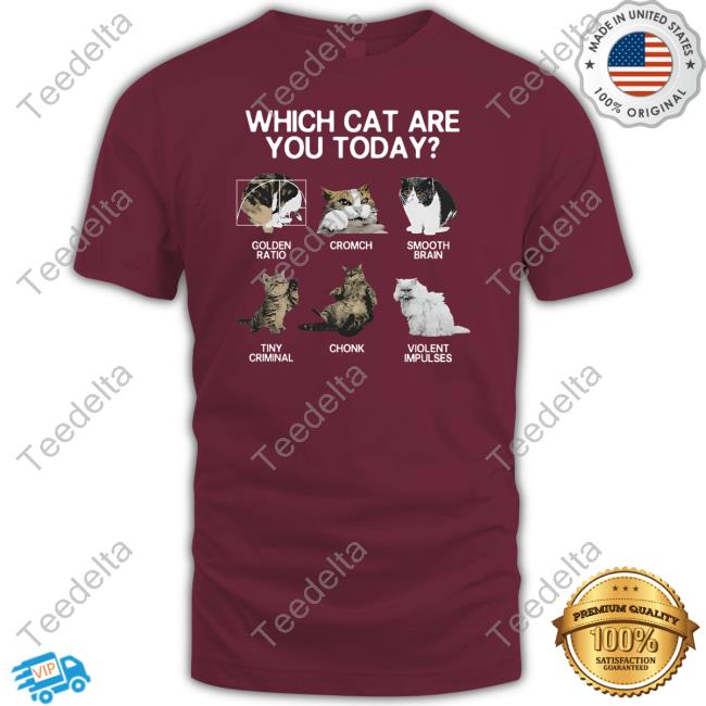 Weirdlilguys Merch Which Cat Are You Today Golden Cromch Smooth Brain Tiny Criminal Chonk Violent Impulses Hooded Sweatshirt Weirdlilguys Merch Which Cat Are You Today Golden Cromch Smooth Brain Tiny Criminal Chonk Violent Impulses Hooded Sweatshirt