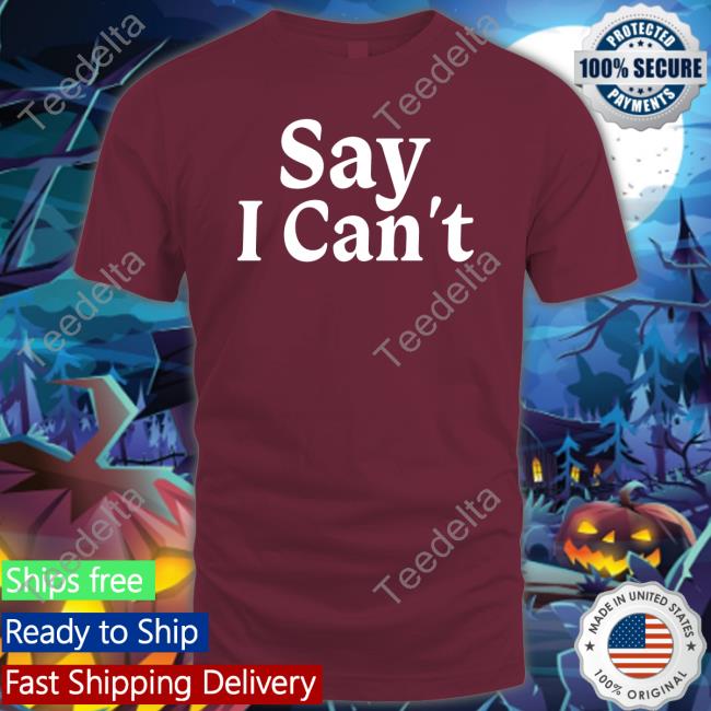 Dream On 3 Say I Can't Hoodie Sweatshirt Say I Can't T Shirt
