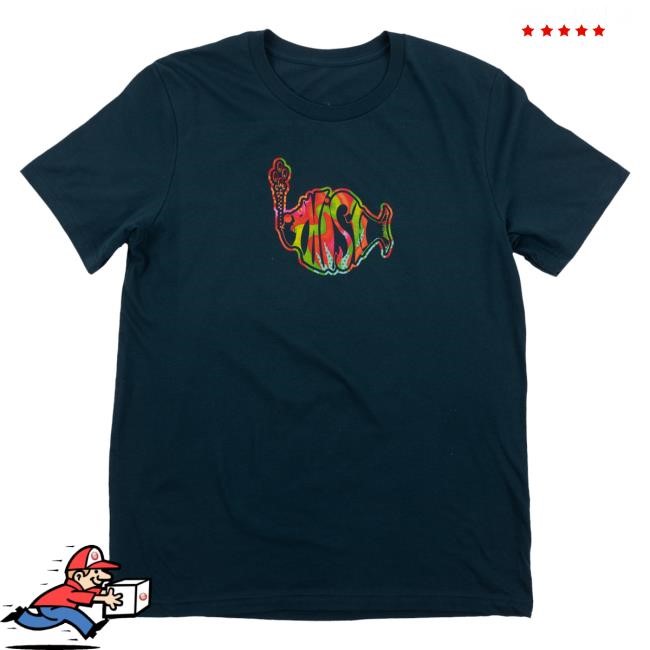 Phish Dry Goods Official Store Chrome Garden Hoodie Sweatshirt