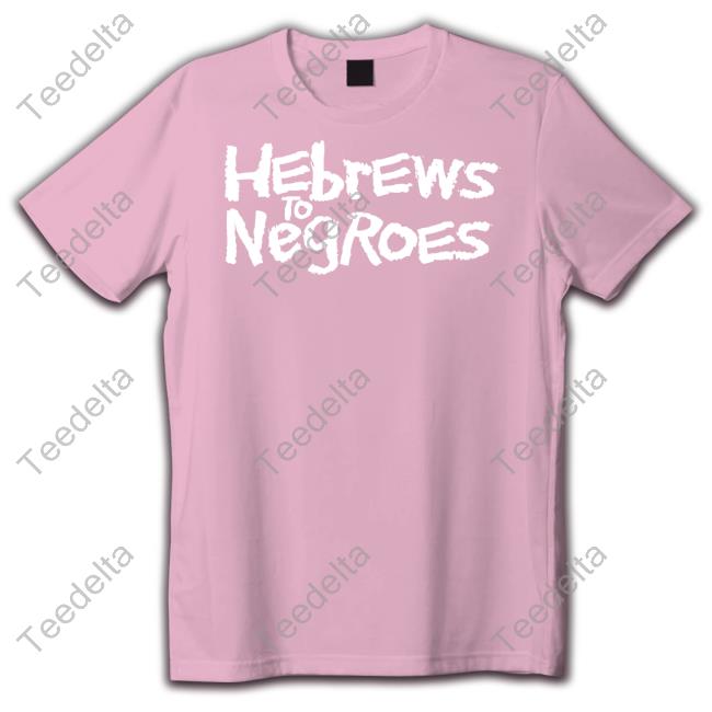 Hebrews To Negroes I Am Semitic Hoodie