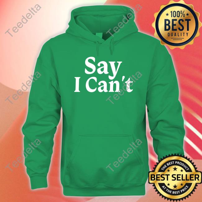Dream On 3 Say I Can't Hoodie Sweatshirt Dream On 3 Say I Can't Hoodie