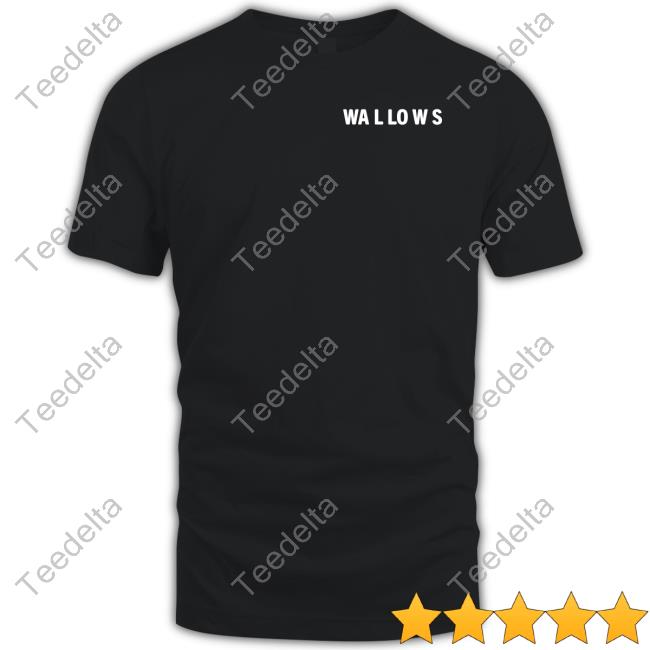 Wallowsmusic Merch Wallows Model Album Tank Top