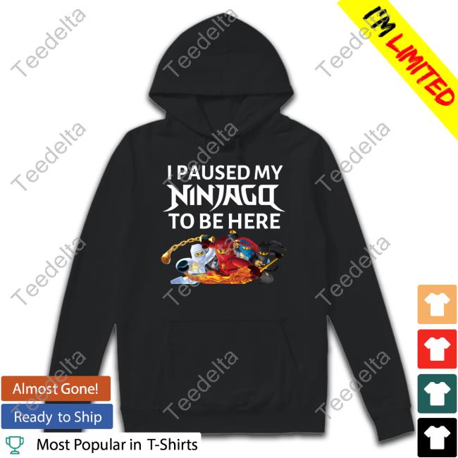 Nathan's Channel I Paused My Ninjago To Be Here Tee Shirt