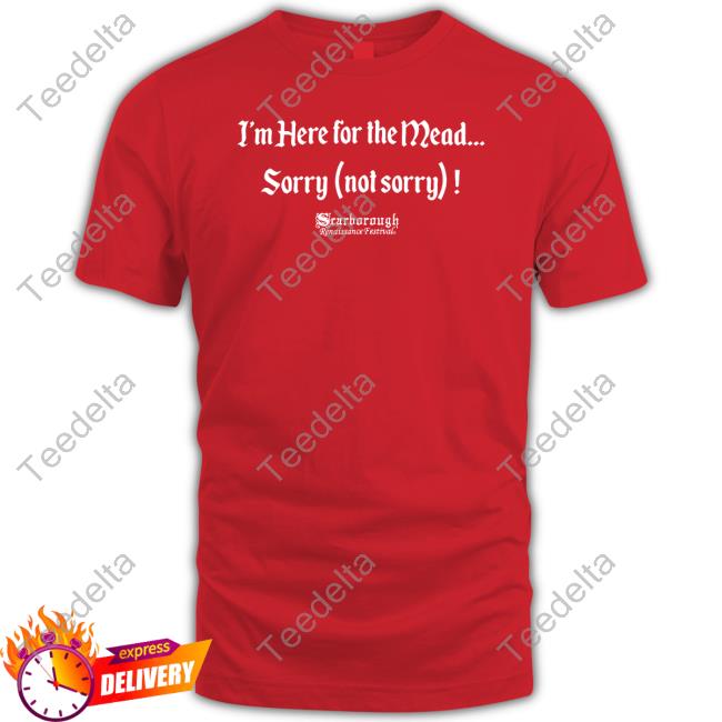Kaitsgooner I'm Here For The Mead Sorry Not Sorry Hoodie