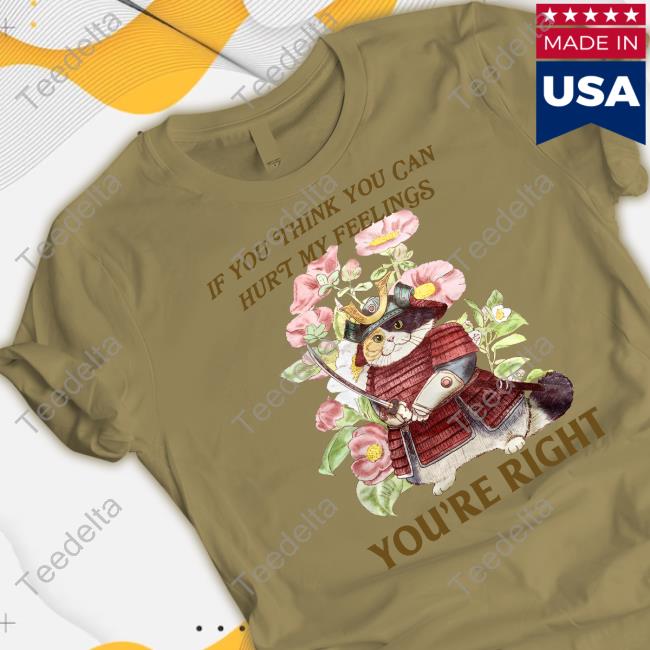 Jmcgg If You Think You Can Hurt My Feelings You're Right Shirt
