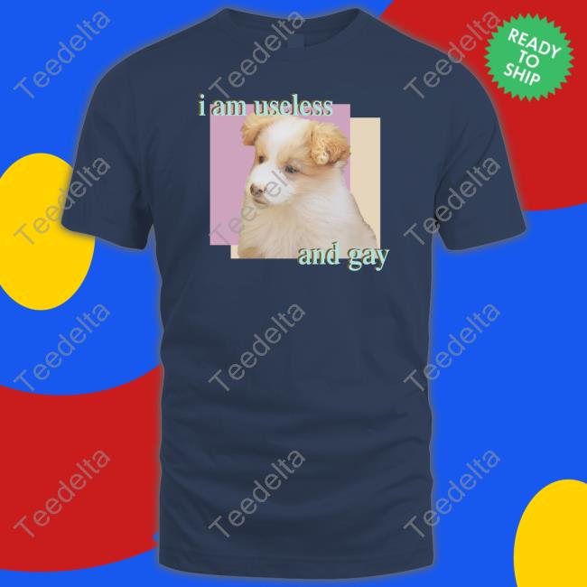 I Am Useless And Gay Tee Shirt