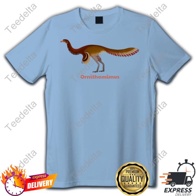 Studio 252Mya Ornithomimus Sweatshirt