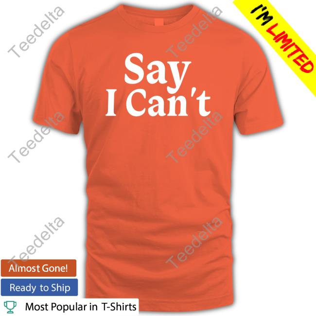 Dream On 3 Say I Can't Tee Shirt