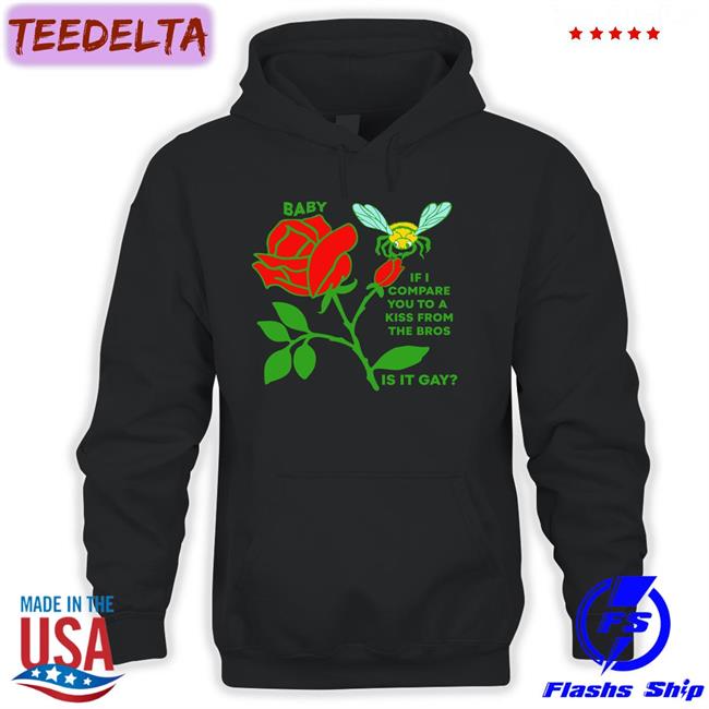 Baby If I Compare You To A Kiss From The Bros Is It Gay Hoodie
