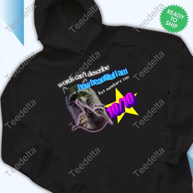 Swankyswamprat Words Can't Describe How Beautiful I Am But Numbers Can 10 Tee Shirt