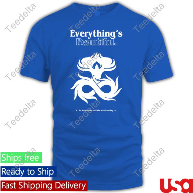 Official Hiatus Kaiyote Everything's Beautiful Tee Shirt