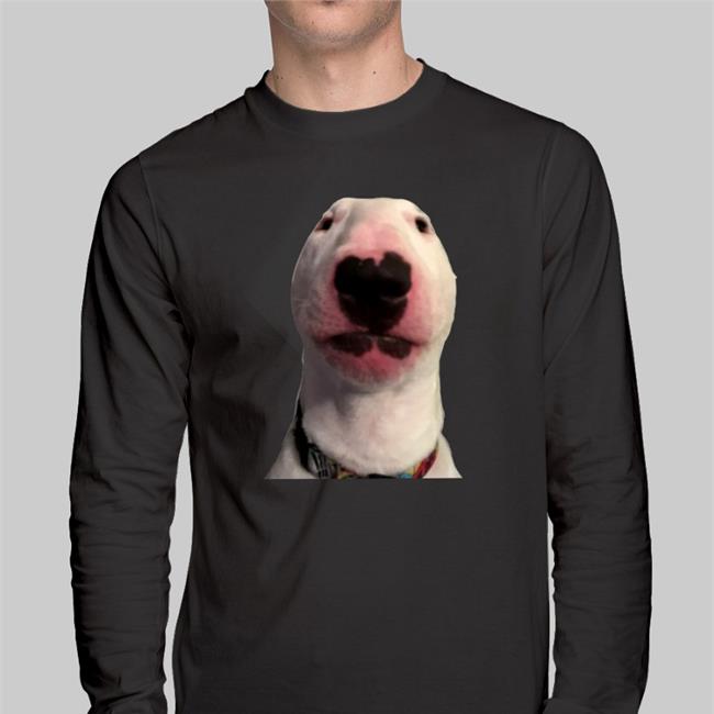 Walter Meme Dog T-Shirt