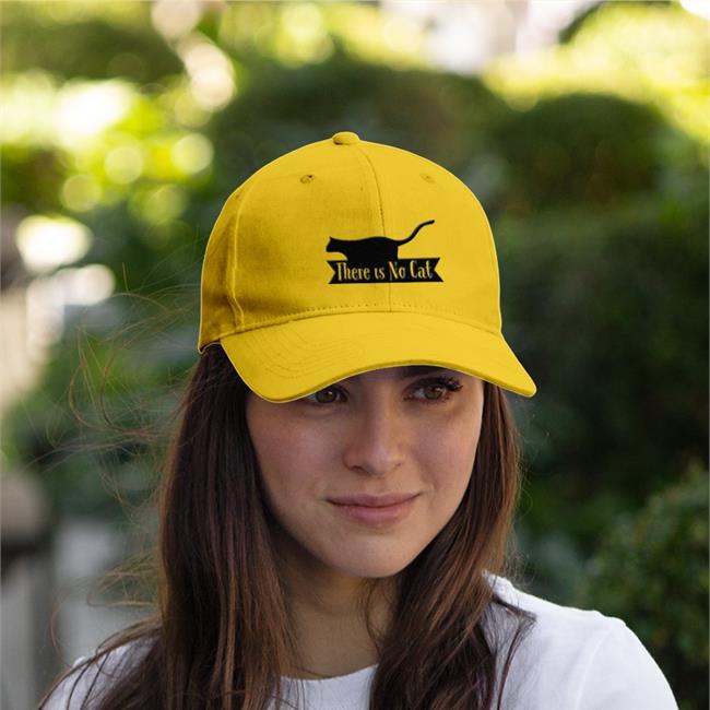 There Is No Cat In This Image Hats