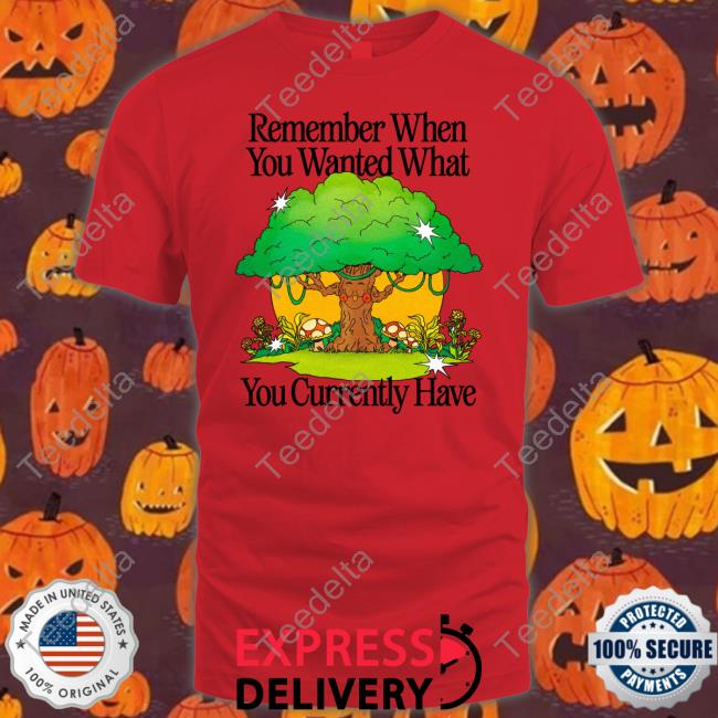 Remember When You Wanted What You Currently Have Hoodied Sweatshirt Madebynelson