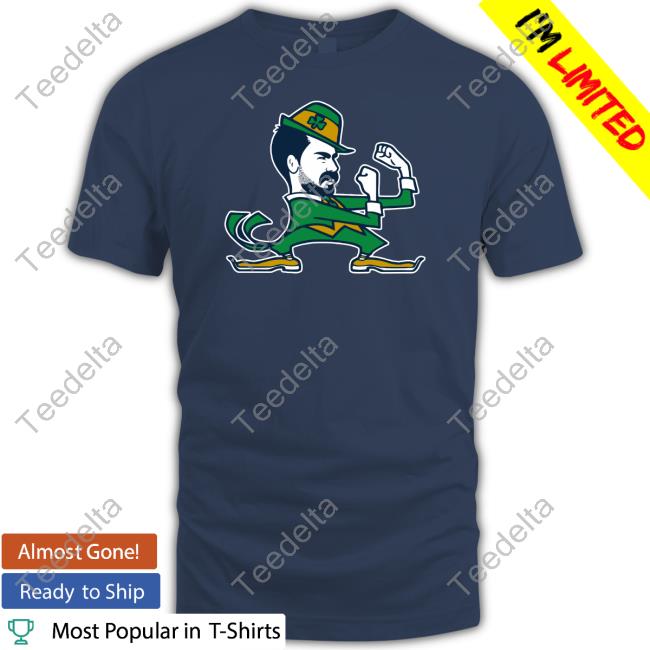 Barstoolbigcat Notre Dame Leprechaun Fighting Irish Sweatshirt Big Cat