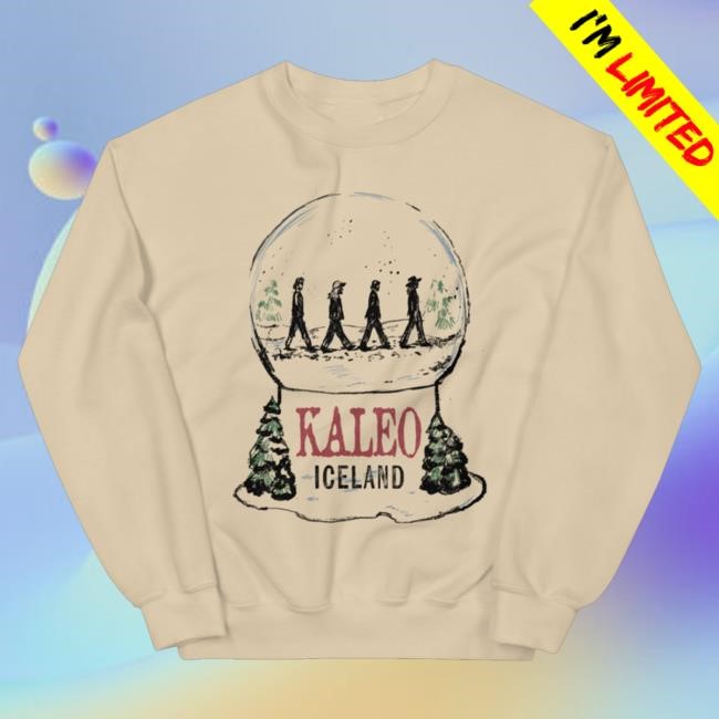 Official Kaleo Merch Store Snow Globe Hooded Sweatshirt