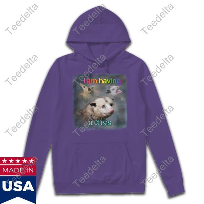Snazzyseagull I Am Having A Crisis Possum Shirts