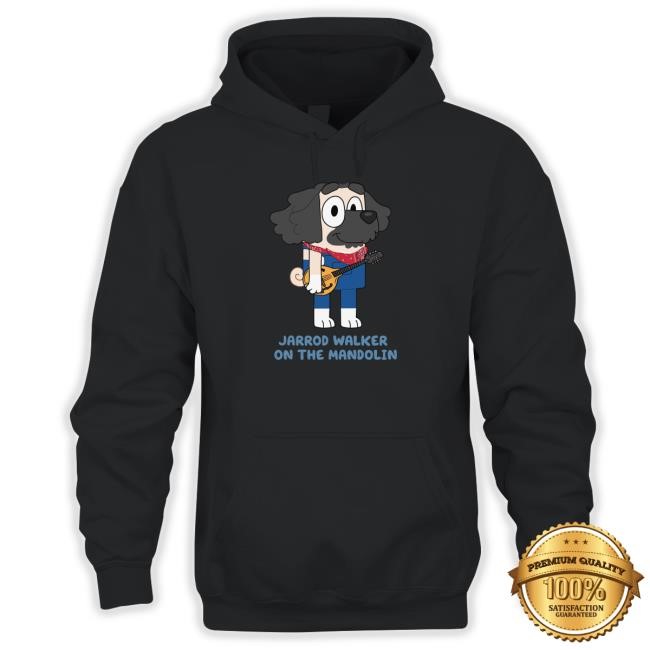 Love And Sound Store Jar Dawg Jarrod Walker On The Mandolin Hooded Sweatshirt
