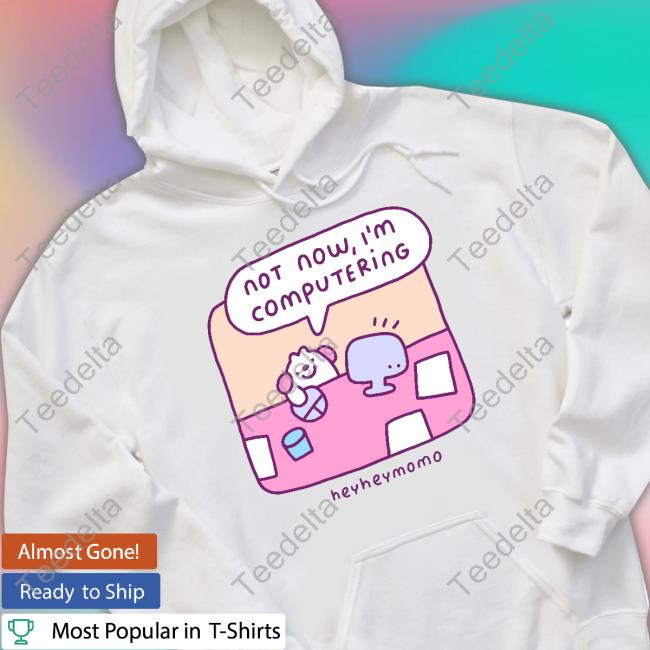 Momo Not Now I'm Computering Heyheymomo Hoodie