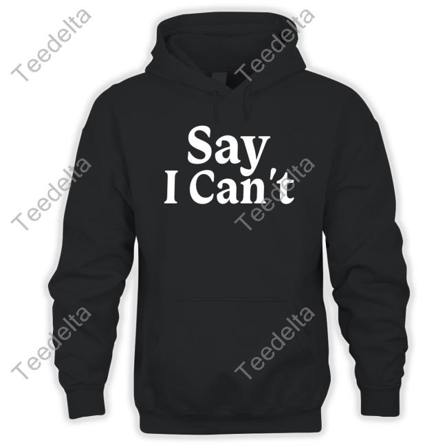 Dream On 3 Say I Can't Hoodie Sweatshirt Say I Can't Shirt
